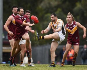 Co-coaches for Bears