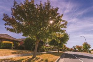 Nature strip shake up