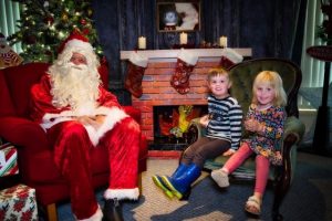 Deck the Christmas trees