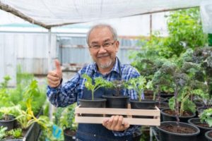 Council grants community funding