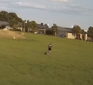 Police investigate suspicious grass fire in Epping