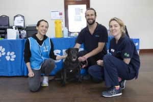 RSPCA offering low-cost solutions