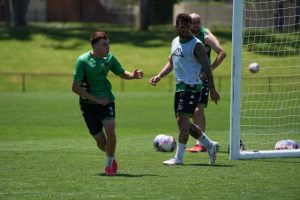 Grimaldi growing in confidence