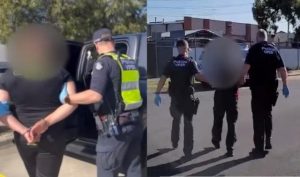 Two arrested and guns seized