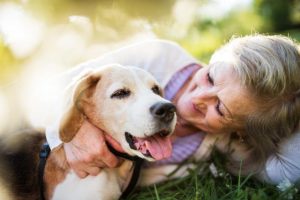 What pets are suitable for retirement villages?