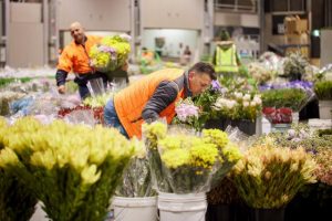 National Flower Centre blooms