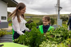 College secures stand alone school status