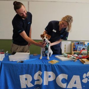 Vaccination clinic returns to Hume