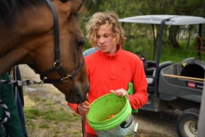 Serenity in the surrounds