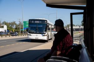 Greenvale need more bus routes