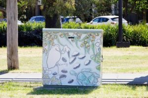 Colourful look for nbn boxes