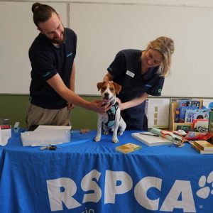 Pets protected for less