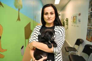 Abandoned pet numbers rise