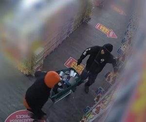 Police searching for burglars