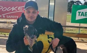 Abusive greyhound trainer suspended