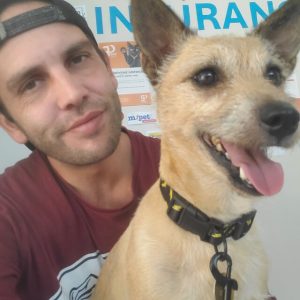 Missing Milo on the run