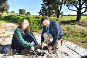 Sustainable schools set for awards