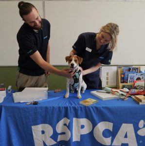 RSPCA Victoria’s low-cost pet vaccination days return to Hume
