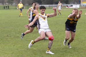 Bears fate in own hands