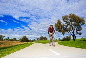 Council backs new transport plan