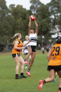 Knights, Cannons named in futures program