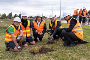 Green boost for Greenvale