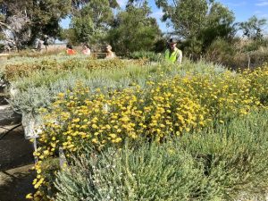 Yarra Valley Water wins gold