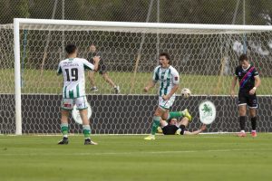 Chick new Green Gully coach