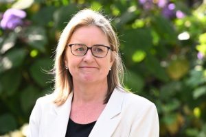 Developers contributions to change, starting with activity centres