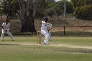 Donnybrook continues massive growth