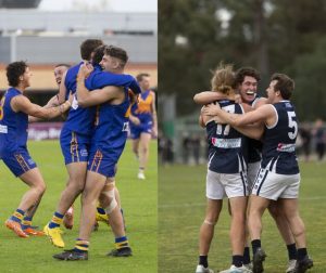 EDFL and WFNL form partnership