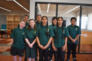 Mickleham twin mania