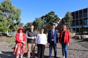 Broady roadmap funding