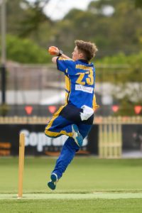 Cricket season heating up