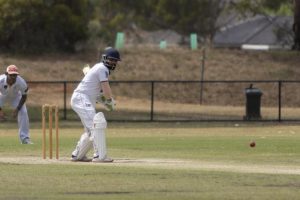 Donnybrook pushes the tempo