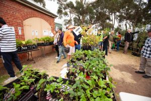 Festival set to be fruitful