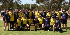 Lions fall short in grand final