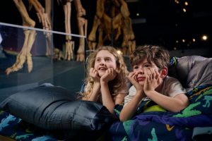 Dinosaur sleepovers at Melbourne Museum
