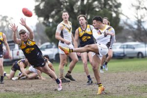 Bears get the monkey off the back