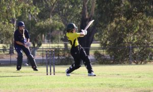 Roos announce coach, captain