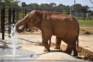 Kids go free for school holidays