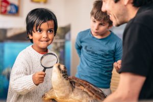 Museum treasures on show