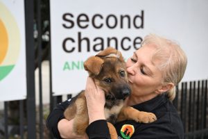 Pet charity in crisis