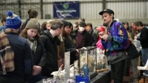 Don’t bug out: It’s expo time