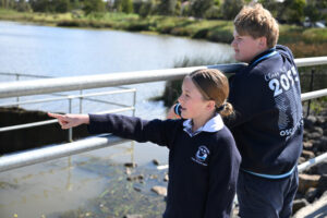 Bird deaths spark outcry