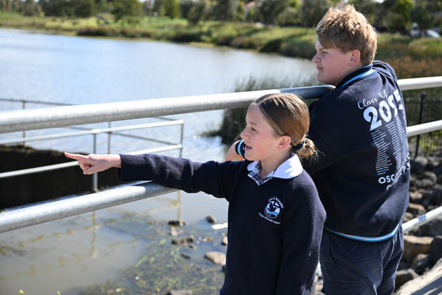 Bird deaths spark outcry