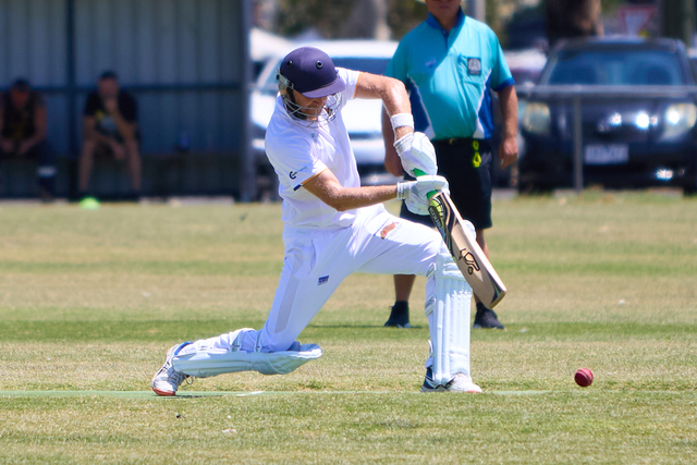 Bulldogs on the board