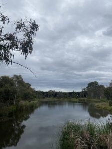 Council listens to pleas to save lake