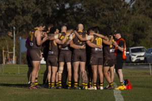 Bears add experience to coaching group