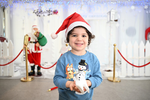 Northen Hospital’s sustainable Christmas display